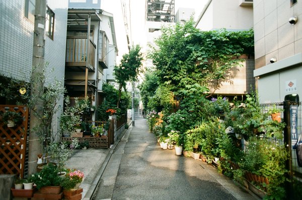 Quelles idées pour un coin repas extérieur dans un jardin urbain ?
