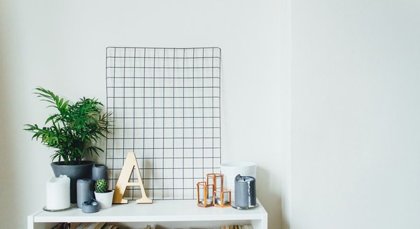 Quelles plantes choisir pour un mur végétal intérieur dans un bureau?